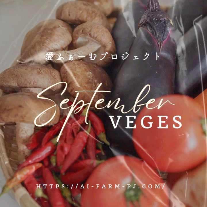 愛ふぁーむプロジェクトより、9月中旬発送のお野菜のご紹介です