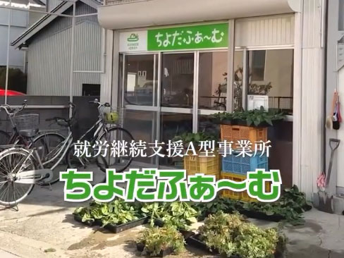食べることが支援に!旬のお野菜セット
